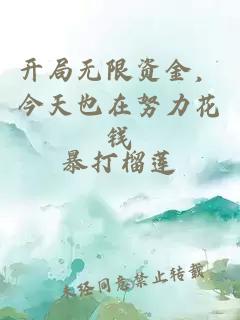 开局无限资金，今天也在努力花钱