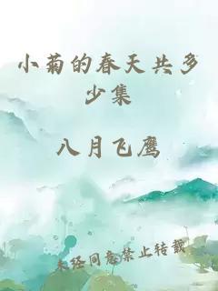 小菊的春天共多少集