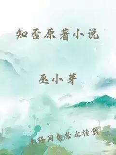 知否原著小说