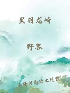 黑羽龙崎